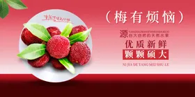 杨梅