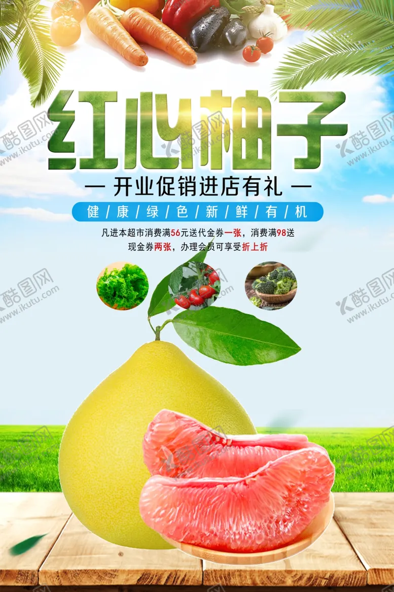 编号：10060712101655195370【酷图网】源文件下载-柚子海报