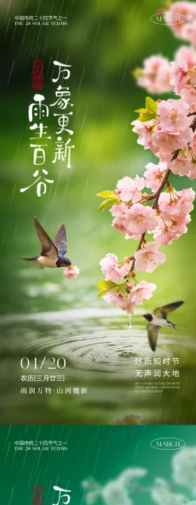 谷雨花海报