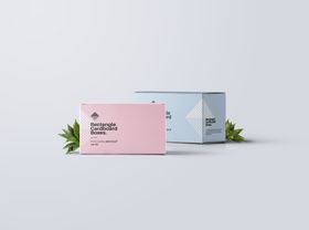 包装盒样机箱子瓦楞纸VI子