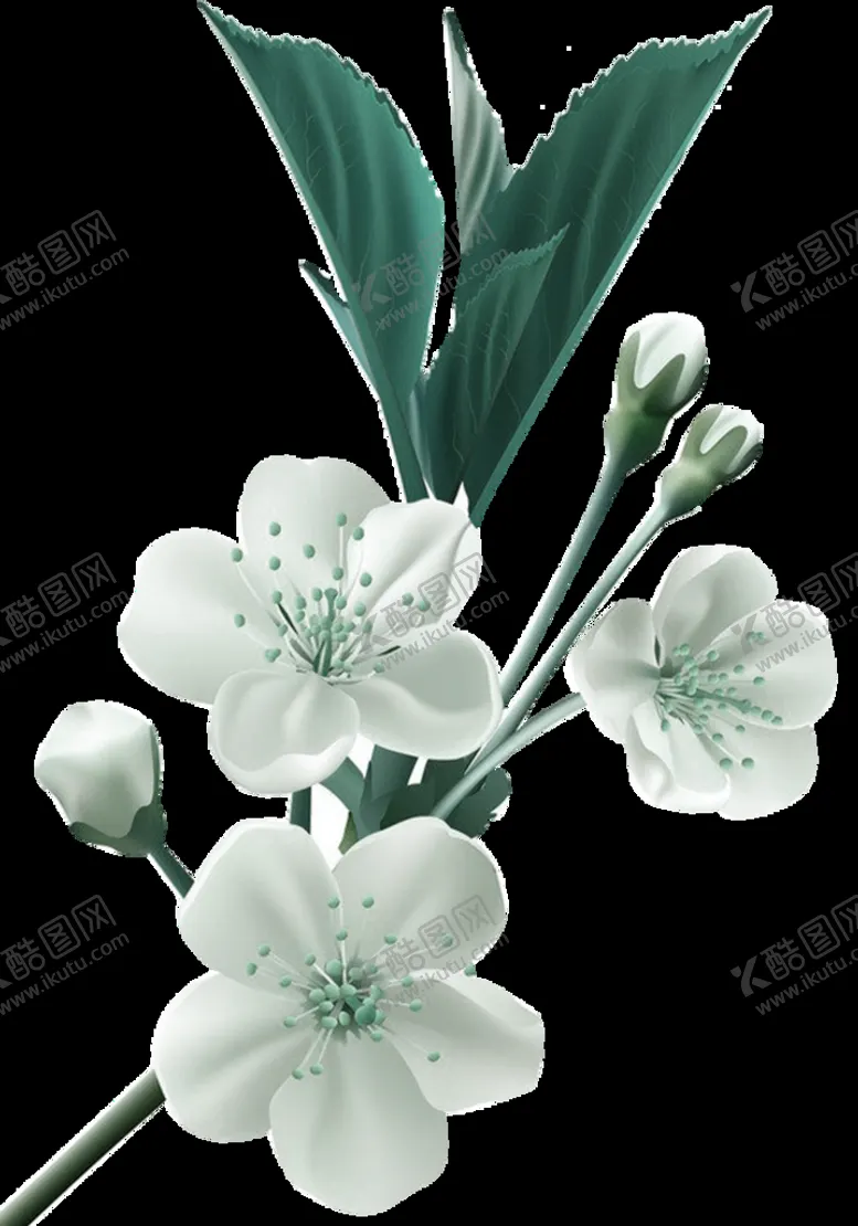 编号：14611510262017063992【酷图网】源文件下载-茉莉花插画