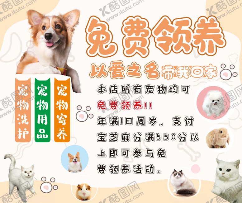 编号：98530802202108495767【酷图网】源文件下载-宠物领养
