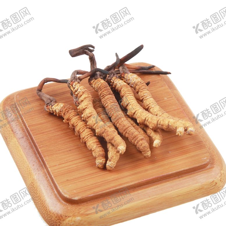 编号：49522509290017523971【酷图网】源文件下载-冬虫夏草