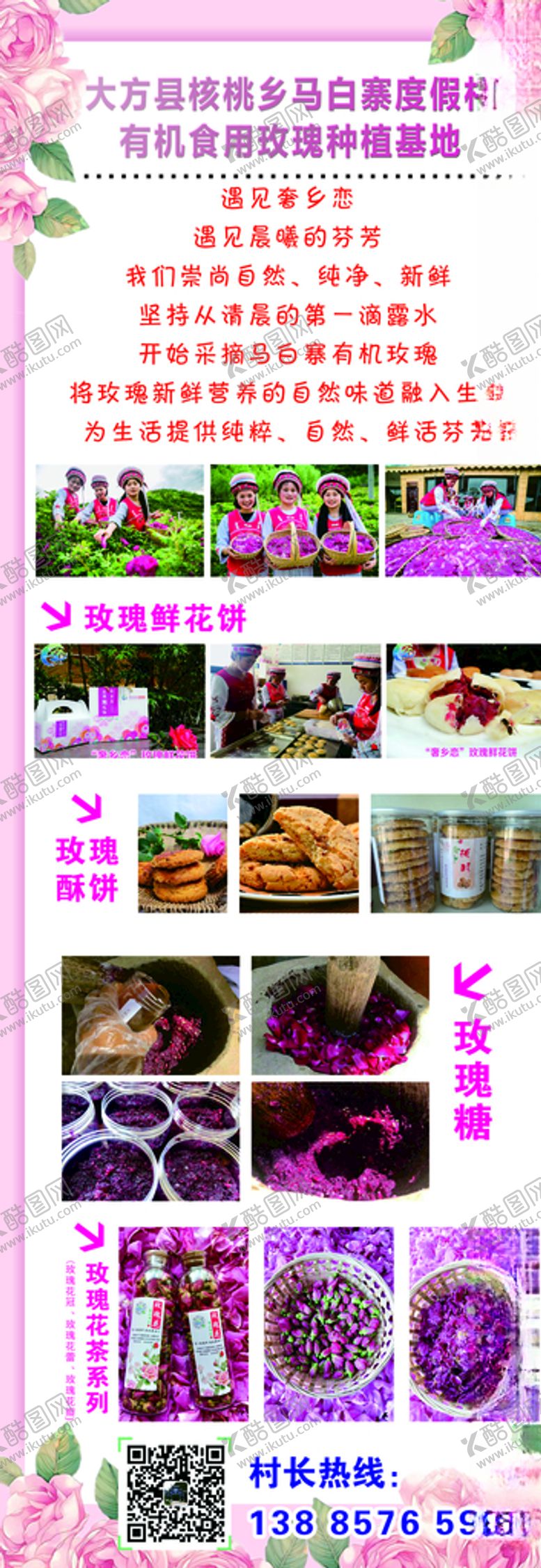 编号：47780310021958291111【酷图网】源文件下载-玫瑰产品展架