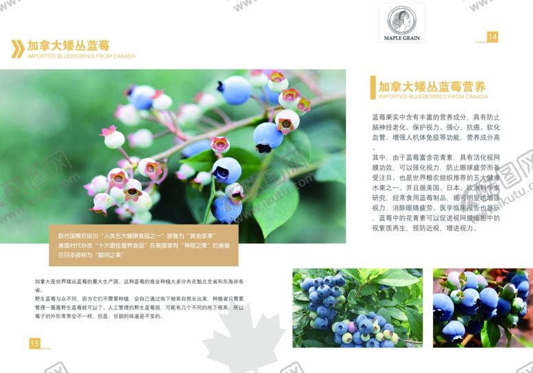 编号：36274209102130099788【酷图网】源文件下载-蓝莓