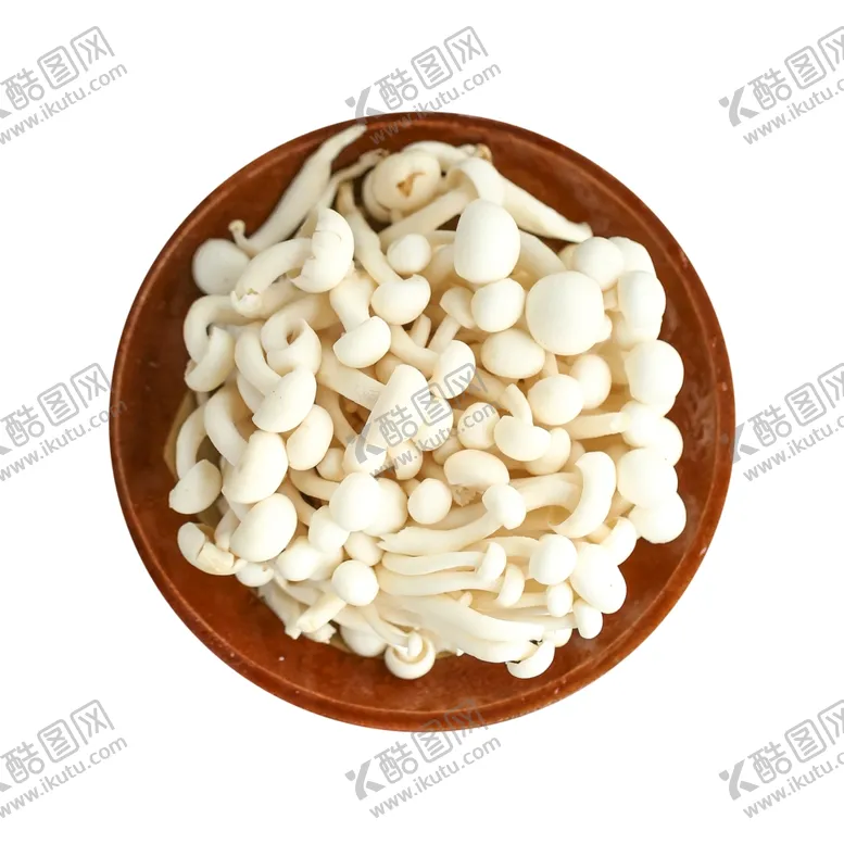 编号：93023804140455378999【酷图网】源文件下载-金针菇美味金针菇