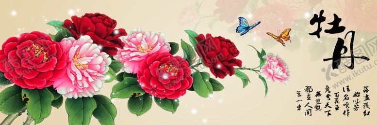 编号：27372207130637492817【酷图网】源文件下载-牡丹花
