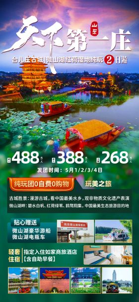 天下第一庄海报