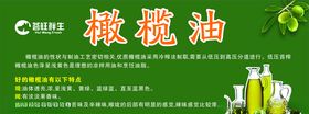 橄榄油橄榄