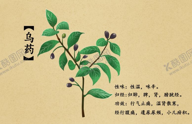 编号：98764502260312355129【酷图网】源文件下载-药材图谱