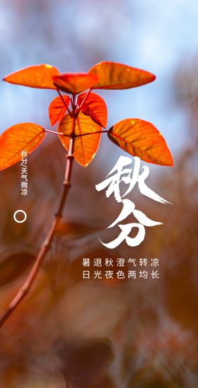秋分宣传传统素材海报