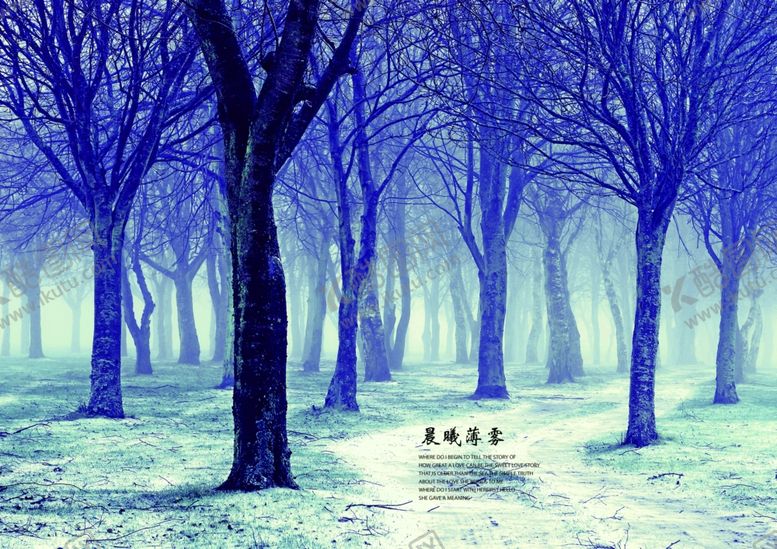 编号：37024709100031257355【酷图网】源文件下载-晨曦薄雾本本封面设计