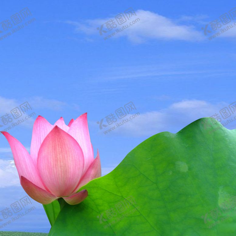 编号：60787110301538112511【酷图网】源文件下载-装饰画