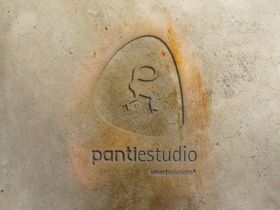 LOGO样机