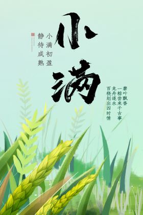 插画风格小满节气海报