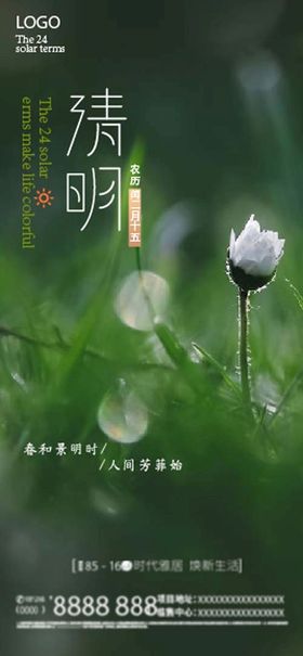 清明 二十四节气    海报 