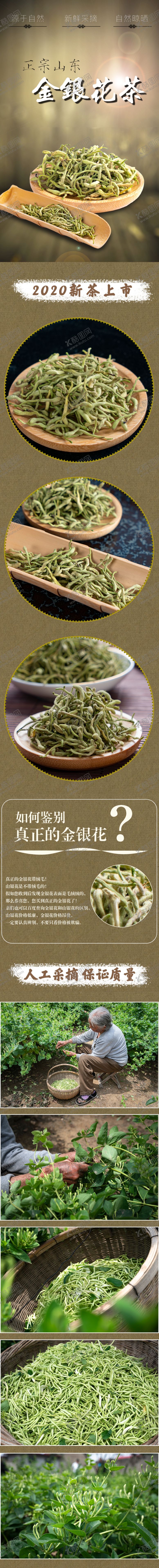 编号：14243910061244105909【酷图网】源文件下载-金银花茶叶淘宝详情页