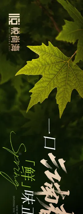 点评春季江南五连图长图海报