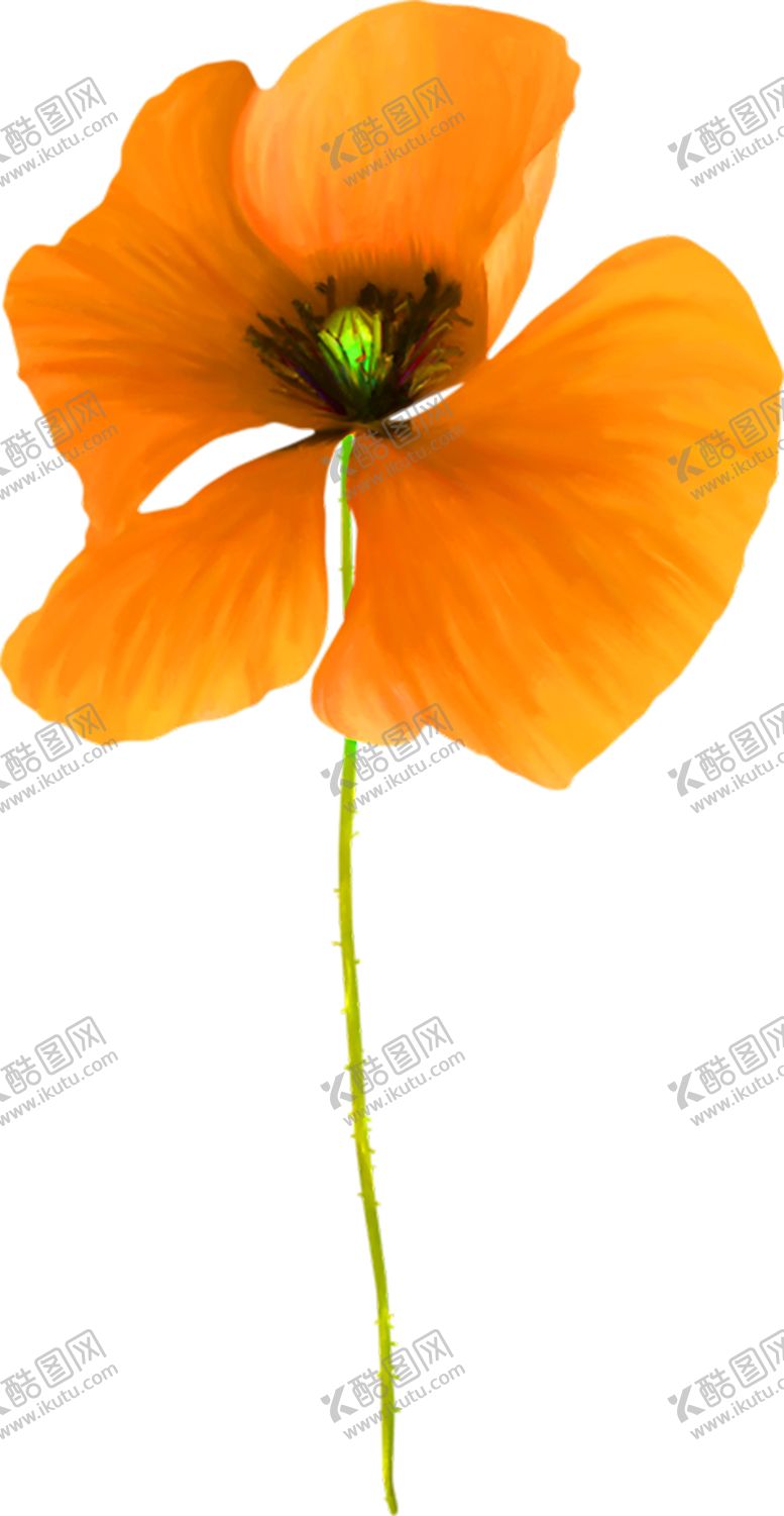 编号：87302006260246291236【酷图网】源文件下载-鲜花装饰