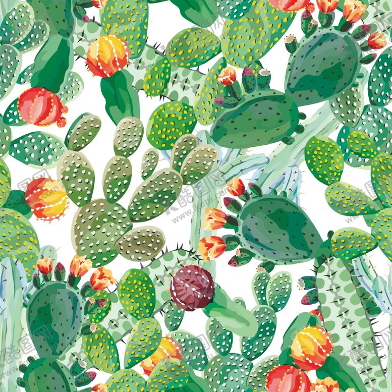 编号：11519110150741195146【酷图网】源文件下载-仙人掌