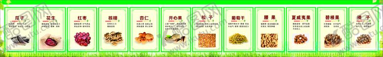 编号：17135703252313329839【酷图网】源文件下载-坚果介绍
