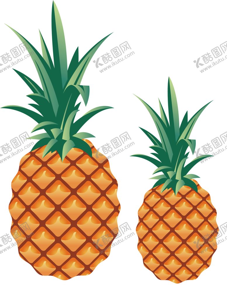 编号：44886610011345118773【酷图网】源文件下载-菠萝