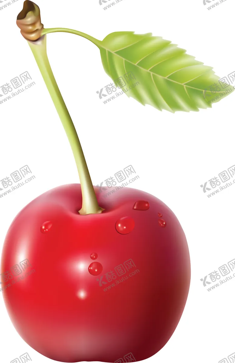 编号：54446205031517077867【酷图网】源文件下载-樱桃