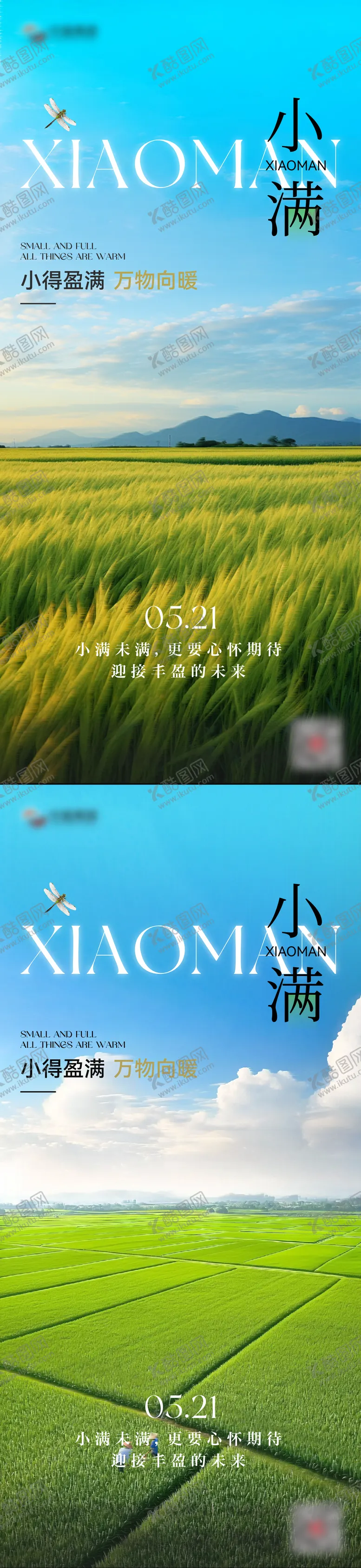 编号：99088005222319364788【酷图网】源文件下载-小满节气海报