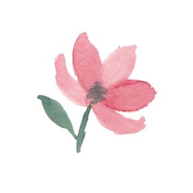 花朵树叶手绘植物小绿叶