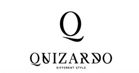 矢量字母logo标志Q元素