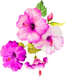 鲜花素材