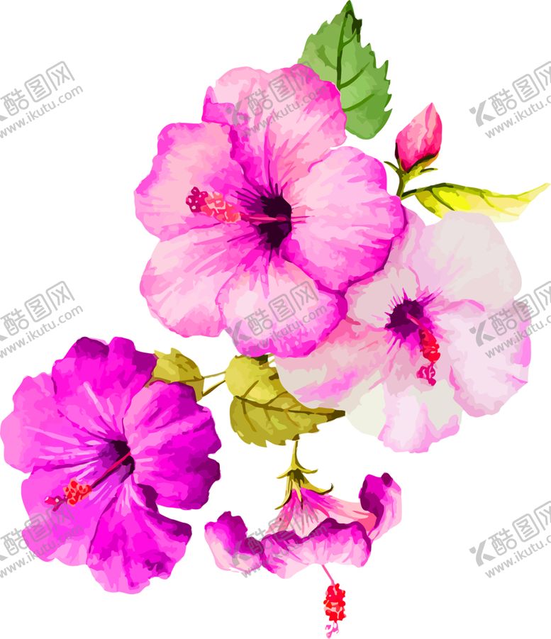 编号：98565505080902314967【酷图网】源文件下载-鲜花素材