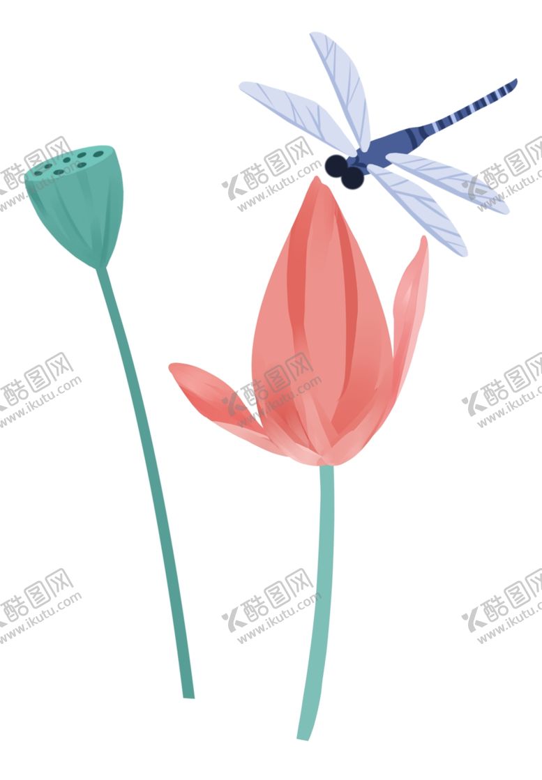 编号：50846309211108005036【酷图网】源文件下载-手绘荷花与蜻蜓
