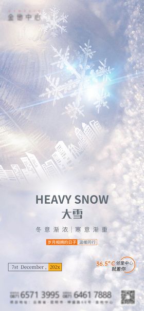 大雪质感高级海报