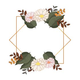 手绘花植物叶子免抠图花朵素材