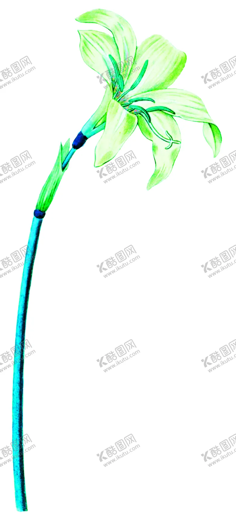 编号：86770806282009416989【酷图网】源文件下载-浪漫素材