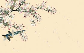 花鸟