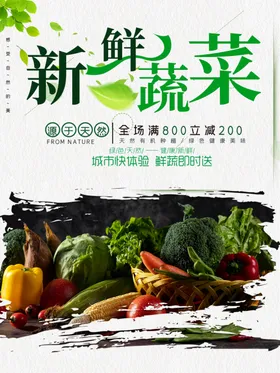 新鲜蔬菜
