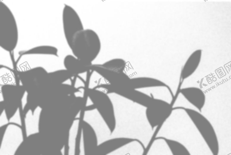 编号：73570009271922289789【酷图网】源文件下载-树影