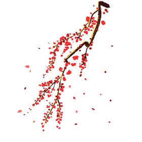 中国风水墨梅