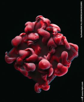 C4D特效设计图案