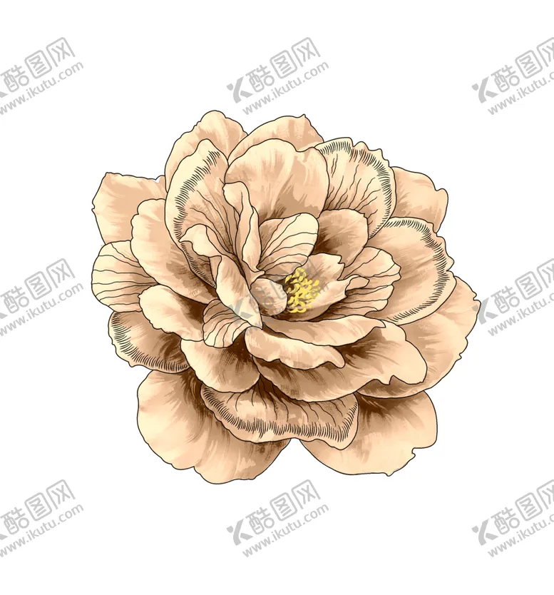 编号：58563006261504444634【酷图网】源文件下载-手绘花卉