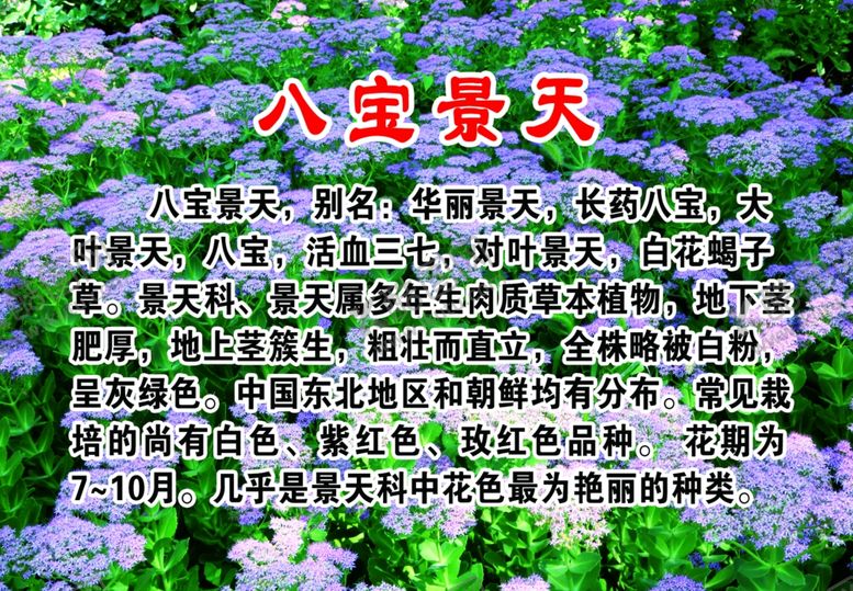 编号：88945003161431048502【酷图网】源文件下载-花草简介牌