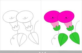 牵牛花