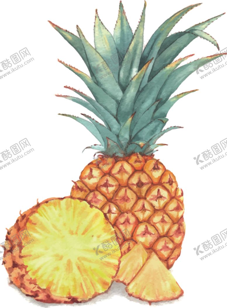 编号：38614509251040152704【酷图网】源文件下载-夏日水果水彩插画