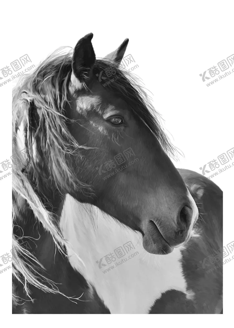 编号：65724109170638489450【酷图网】源文件下载-欧式骏马挂画装饰画