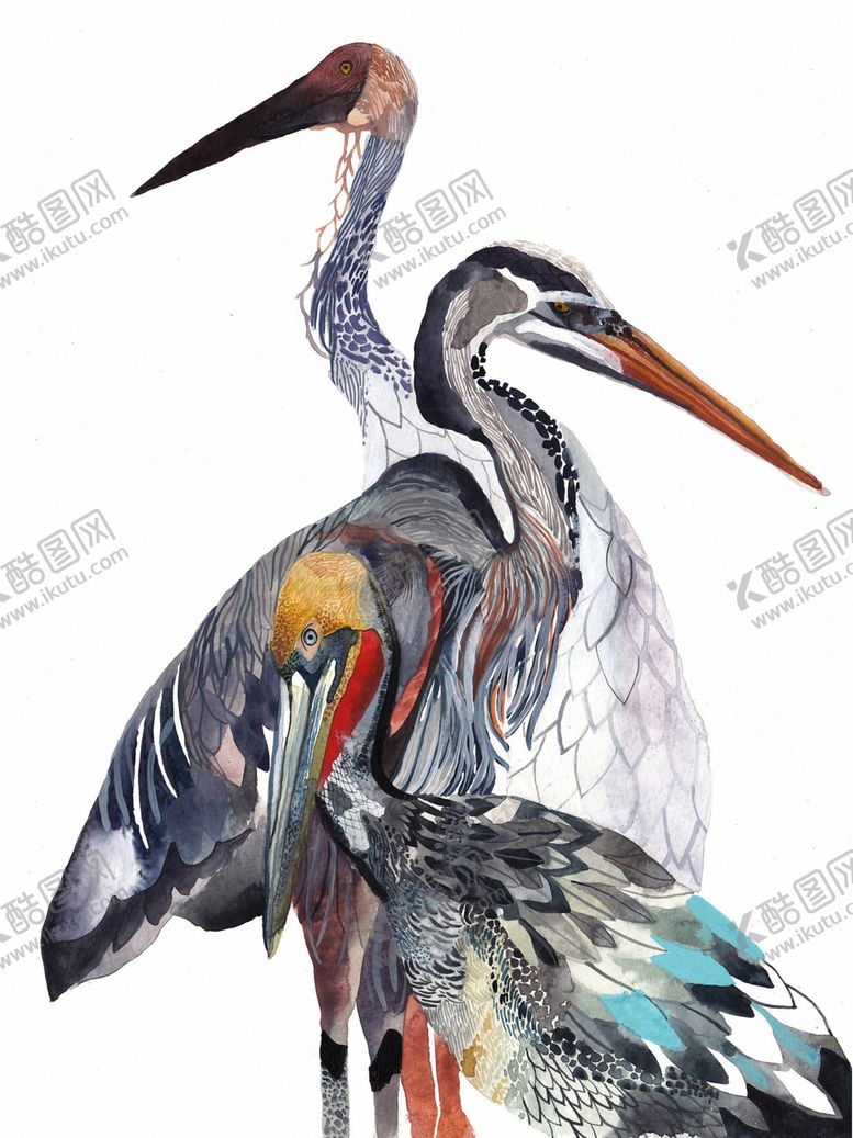 编号：30273007010531036688【酷图网】源文件下载-北欧风格鸟禽鱼水彩画