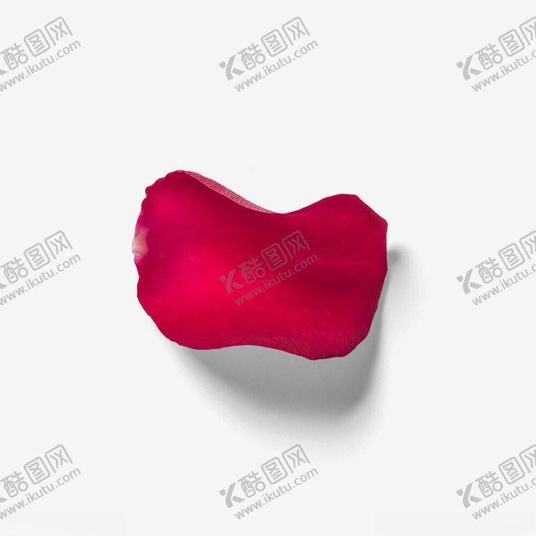 编号：44809102201452381164【酷图网】源文件下载-玫瑰花瓣