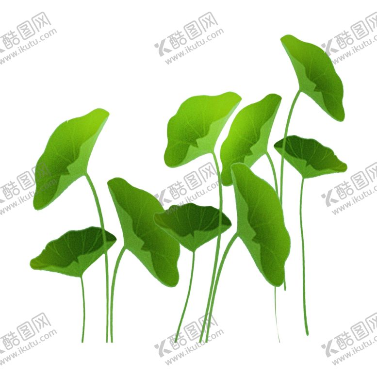 编号：59094506251215329714【酷图网】源文件下载-荷叶