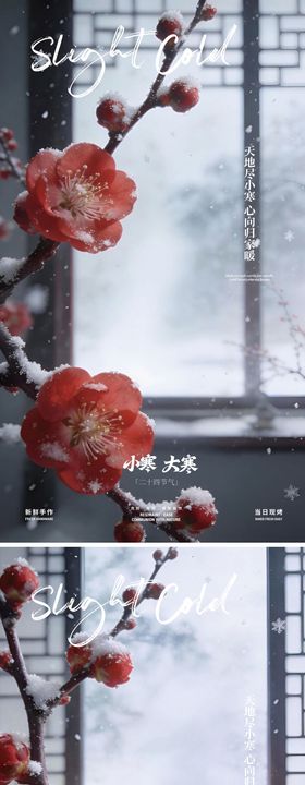 大寒小寒节气海报红梅